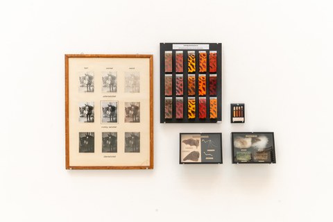 Ausstellungsansicht