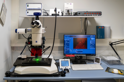 Zeiss AxioZoom V.16 der CFCI