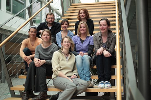 The Müller-Reichert Group 2010