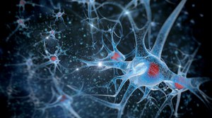 Digitale 3D-Illustration eines Neurons auf schwarzem Hintergrund.