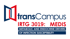 Logo IRTG3019