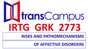 IRTG TC klein