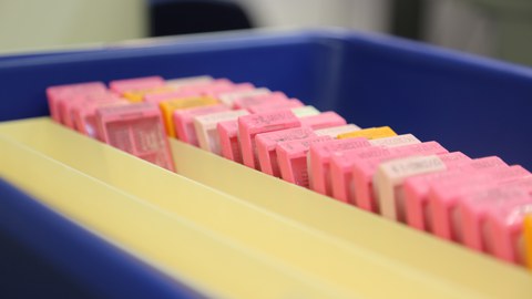 Gewebeschnitte im fertigen Block der BioBank Dresden