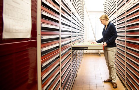 Dr. Irene Michalk im Archiv TNTB BioBank Dresden