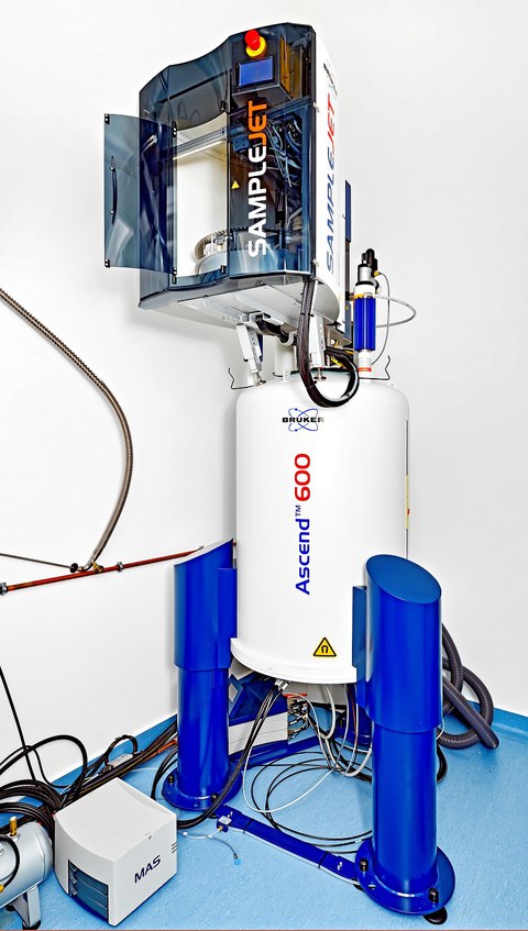 NMR Spektroskopiegerät der BioBank Dresden