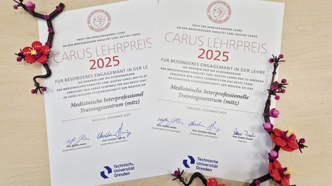 2 Urkunden Carus Lehrpreis 2025