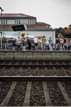 Medizinische Fakultät Dresden - You ask we explain - TU Dresden - Folge 23