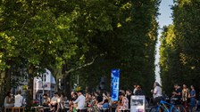 Medizinische Fakultät Dresden - You ask we explain - TU Dresden - Folge 24