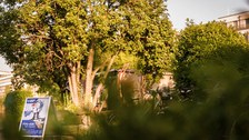 Medizinische Fakultät Dresden - You ask we explain - TU Dresden - Juni
