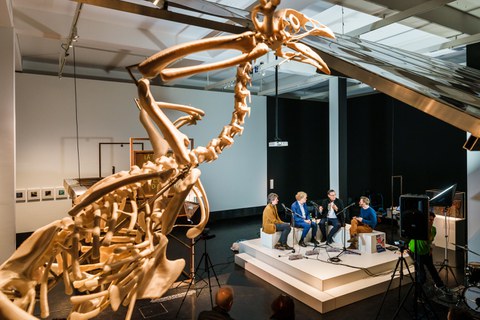 Medizinische Fakultät Dresden - You ask we explain - TU Dresden - März
