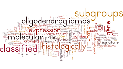 BMC WordCloud