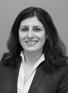 Dr. rer. nat. Pirasteh Pahlavan