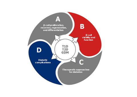 Overview of the four research areas