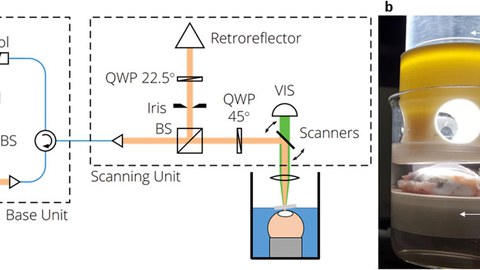 Das Bild zeigt eine schematische Darstellung der Brillouin-Spektroskopie.
