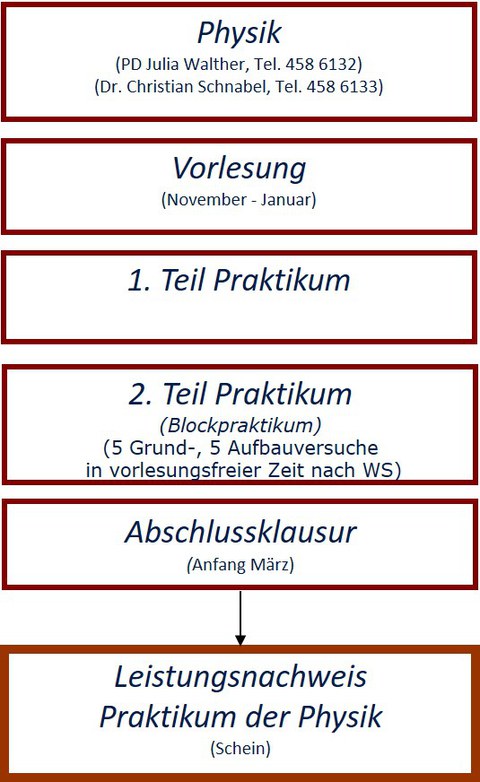 Ablauf der Ausbildung