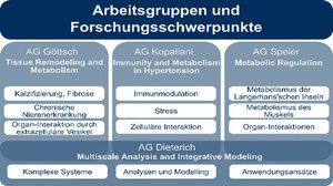Forschungsgruppen 3