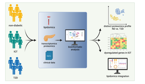 Schematic representation of the project flow
