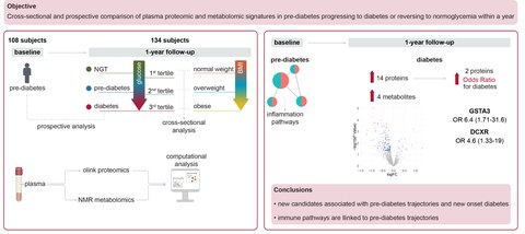 Graphical Abstract of Barovic et al. 2025