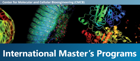 Titelbild des CMCB Master Programms