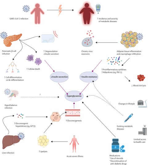 Factors contributing to the development or aggravation of diabetes in patients with SARS-CoV-2 infection