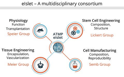 Schematische Darstellung des eISLET Konsortiums
