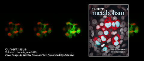 Coverbild Ninov Nature Metabolism
