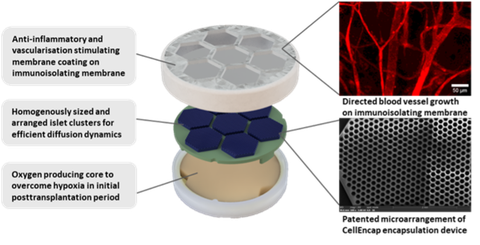 Schematic overview of the CellEncap device architecture 