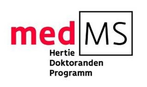 Hertie Doktoranden Programm