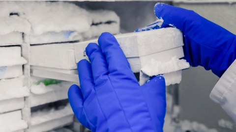 In einer Nahaufnahme wird gezeigt, wie eine Person mit blauen Kälteschutzhandschuhen eine Schachtel aus einem Tiefkühlschrank entnimmt 