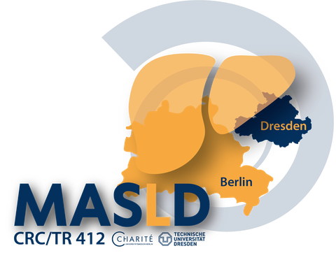 Logo Sonderforschungsbereich / Transregio 412 zu MASLD 