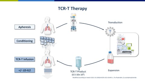 Modell zur TCR-T Therapie