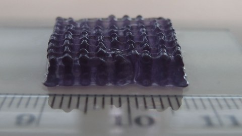Hydrogelcells