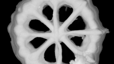 RadCPC