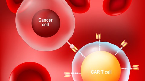 CAR-T Zelltherapie
