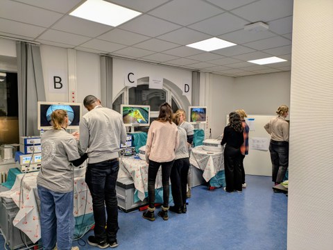 DGAV OP-Workshop