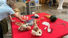 LNdW 2024 Studiengang Hebammenkunde TU Dresden