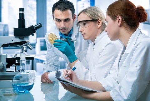 Eine Wissenschaftlerin hält eine bewachsene Petrischale hoch und erklärt einem Wissenschaftler und einer Wissenschaftlerin den Bewuchs der Schale.