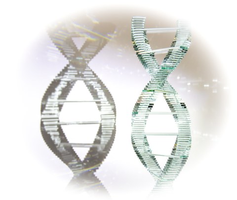 Doppelhelix 