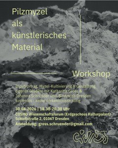 Werbung für Mycelworkshop am 30.04.2026
