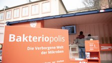 Möbelstücke der Wanderausstellung Bakteriopolis