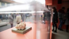 Modell eines Kefirkristalls von Original SOMSO® Modelle, ausgestellt in Wanderausstellung Bakteriopolis