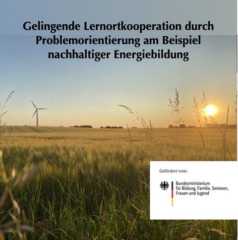 Windräder auf einem Feld