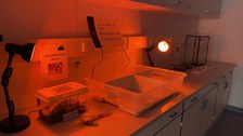 Labor im Rotlicht mit Experiment