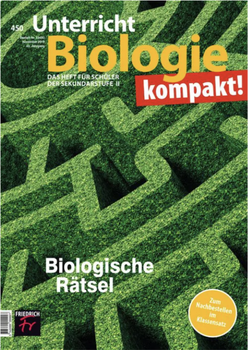 Cover mit Labyrinth