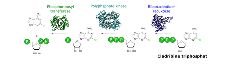 Graphical_Abstract_eng