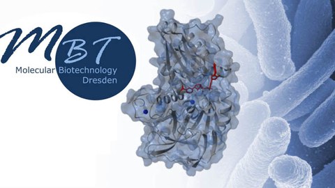 Molekulare Biotechnologie