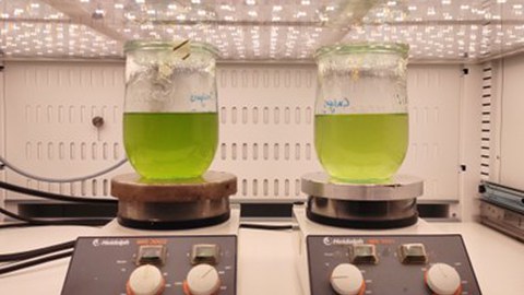 climate chamber