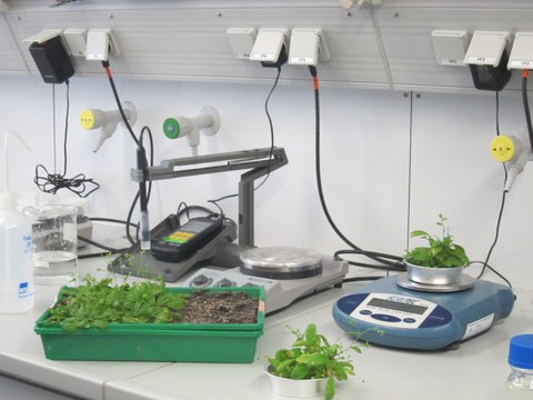lab3