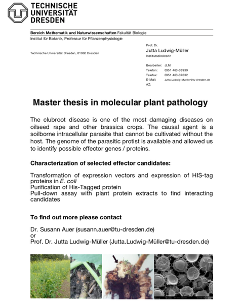 master thesis
