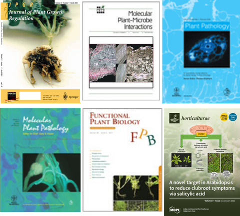 journal titles